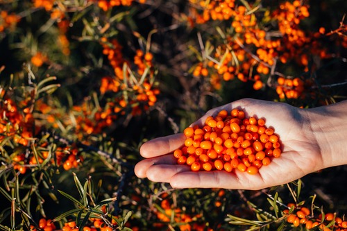 1760407645199008.jpg 1760407645199008.jpg