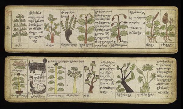 1760414463261994.jpg 1760414463261994.jpg