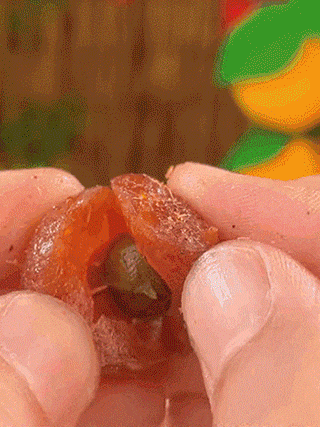 1760579442204607.gif 1760579442204607.gif