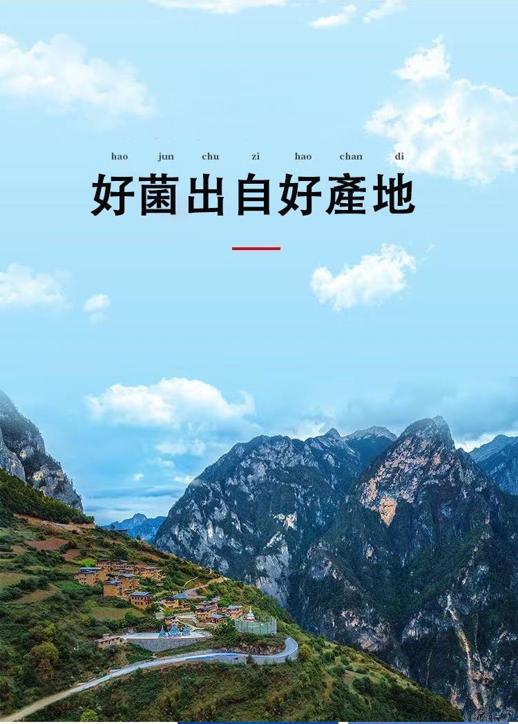 1761190022356870.jpg imgi_9_1736913595111149.jpg