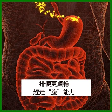 1761639785648015.gif 1761639785648015.gif